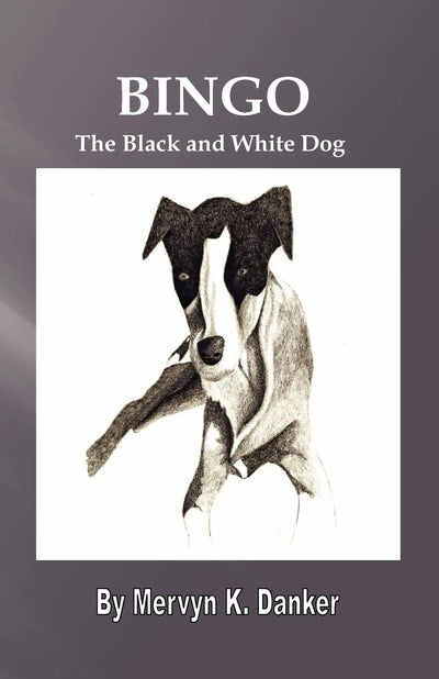 Bingo: The Black and White Dog