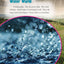 Water Cycle (Science Readers: Content and Literacy)