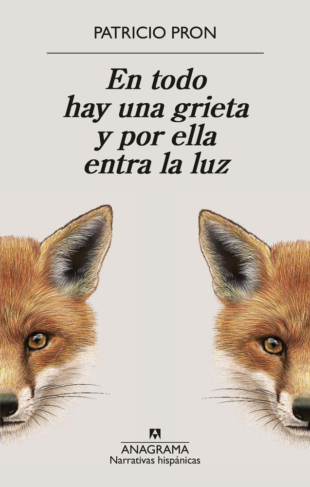 En todo hay una grieta y por ella entra la luz (Spanish Edition)