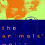 The Animals Waltz: A Novel