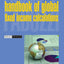 The Handbook of Global Fixed Income Calculations