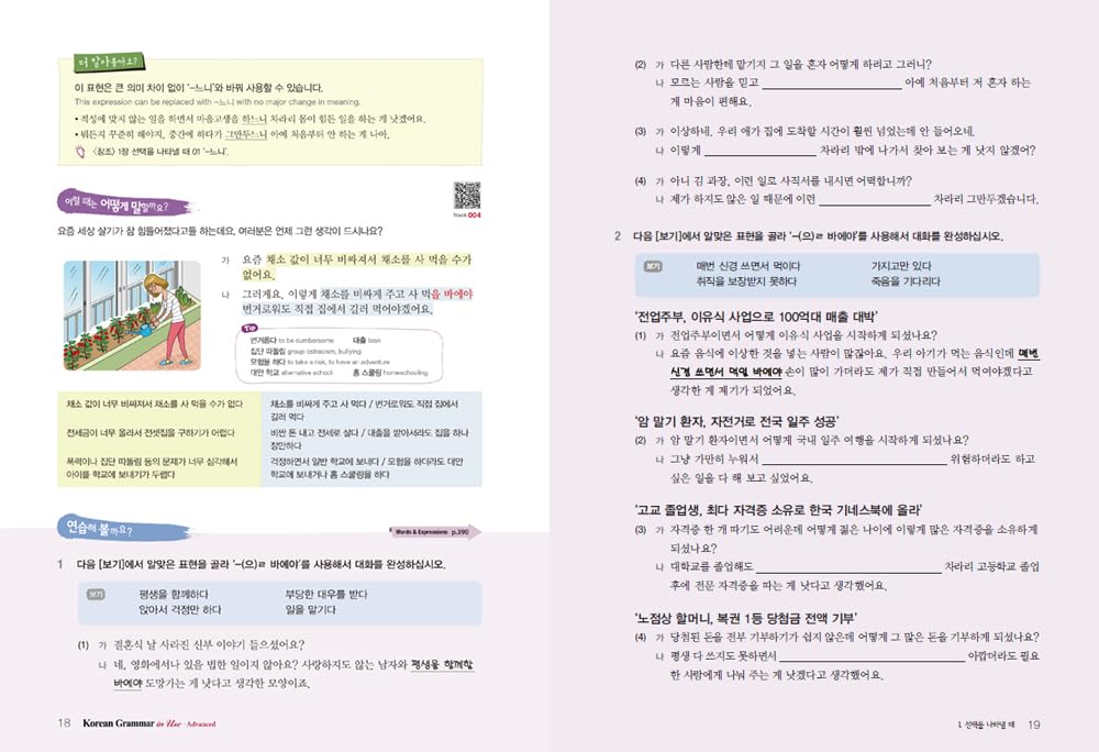 Korean Grammar in Use - Advanced