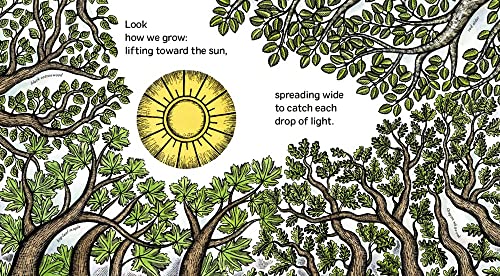 We Are Branches