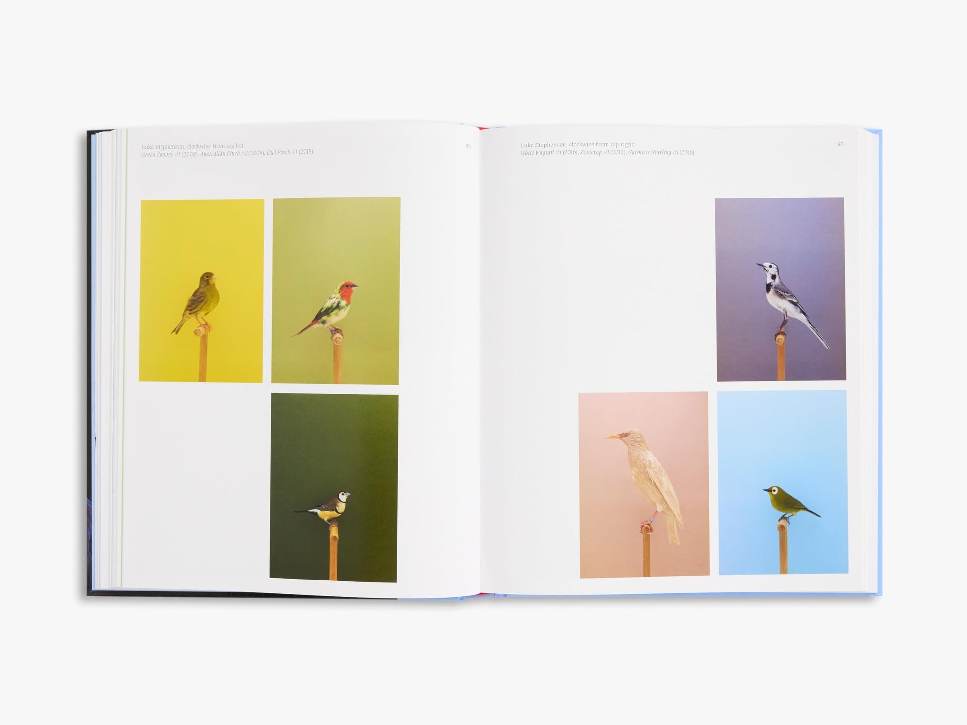 Aviary: The Bird in Contemporary Photography