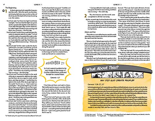 The NIV Action Study Bible by Cariello, Sergio