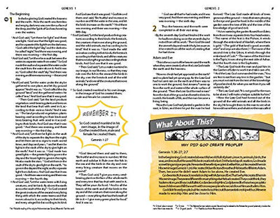 The NIV Action Study Bible by Cariello, Sergio
