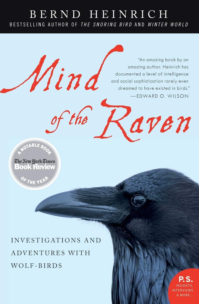 Mind of the Raven: Investigations and Adventures with Wolf-B