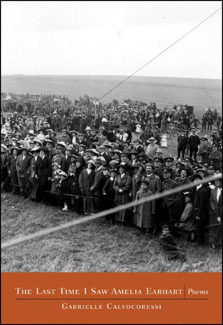 The last Time I Saw Amelia Earhart: Poems