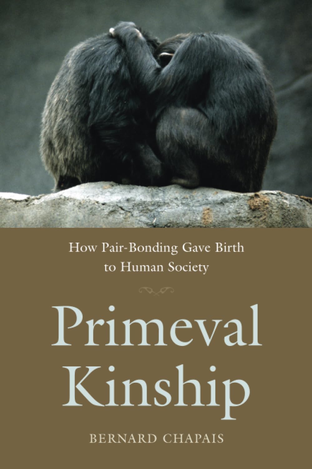 Primeval Kinship: How Pair-Bonding Gave Birth to Human Society