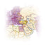 Trkiye (Turkey) Map (National Geographic Adventure Map, 3018)