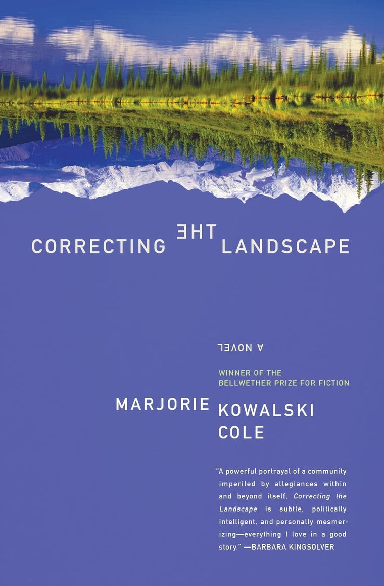 Correcting the Landscape: A Novel