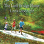 The Last Bridge Home (Redemption River, 5)