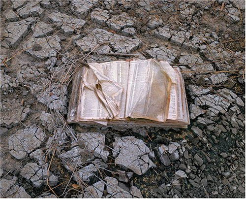 In Katrina's Wake: Portraits of Loss from an Unnatural Disaster