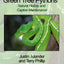 Green Tree Pythons: Natural History and Captive Maintenance
