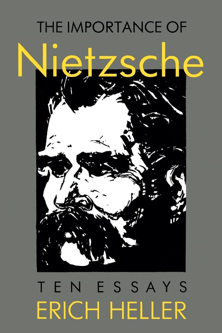 The Importance of Nietzsche (Sino-American-German Documentary)