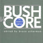 Bush v. Gore: The Question of Legitimacy