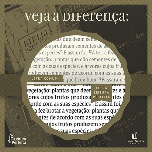 Biblia NVI. Leitura Perfeita - Capa Cerejeira. Letra Normal. (Em Portugues do Brasil)