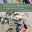 Chinese Embroidery: An Illustrated Stitch Guide