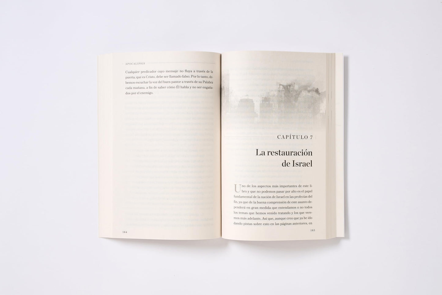 APOCALIPSIS: Qué dice la Biblia sobre las profecías del fin? (Spanish Edition)