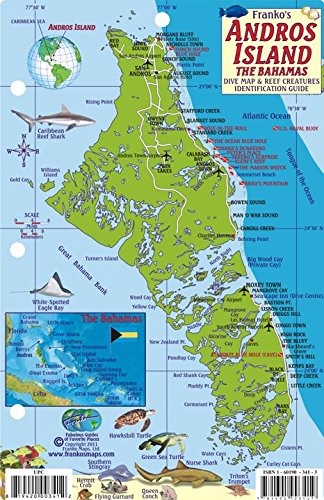 Andros Island Bahamas Dive Map & Reef Creatures Guide Franko Maps Laminated Fish Card