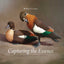 Capturing the Essence: Techniques for Bird Artists