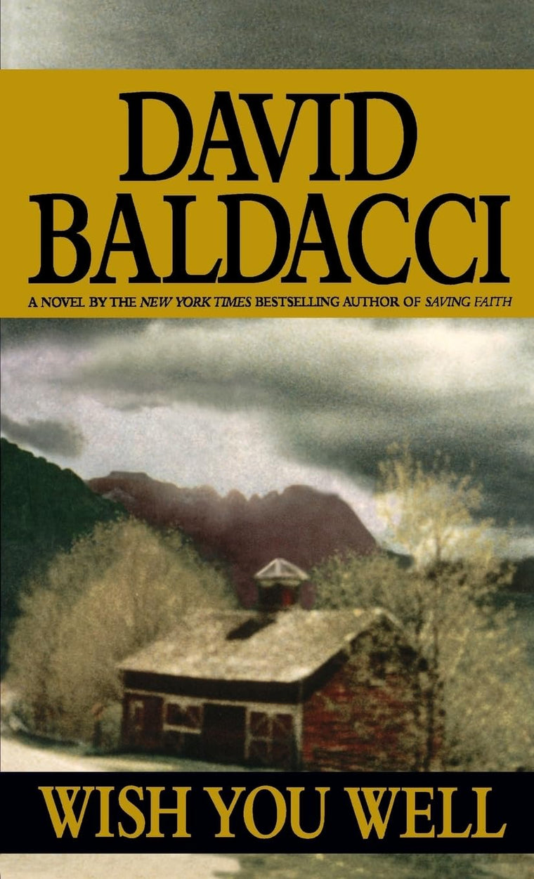 Wish You Well by Baldacci, David