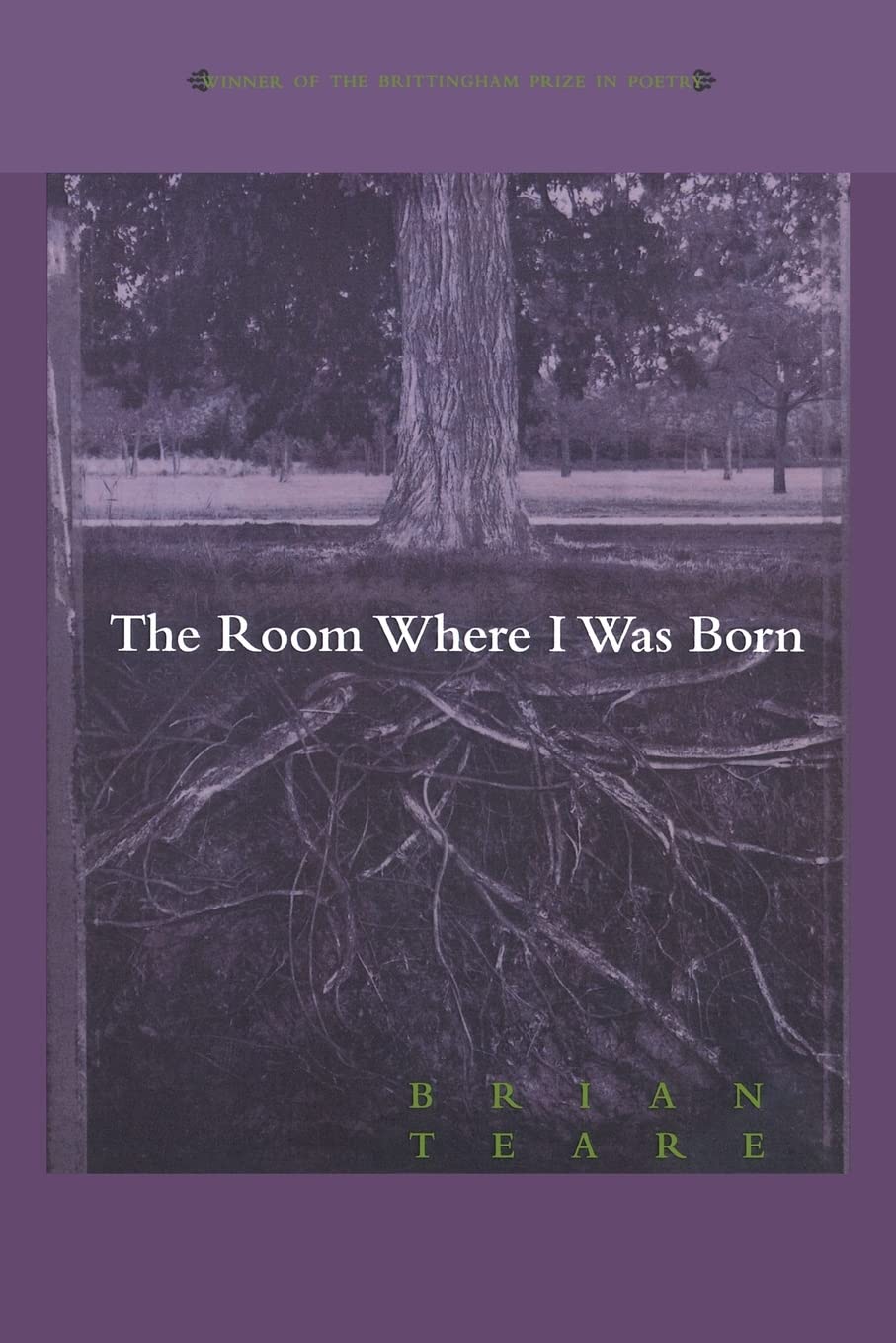 The Room Where I Was Born (The Brittingham Prize in Poetry)