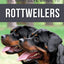 The Complete Guide to Rottweilers: Training, Health Care, Feeding, Socializing, and Caring for your new Rottweiler Puppy