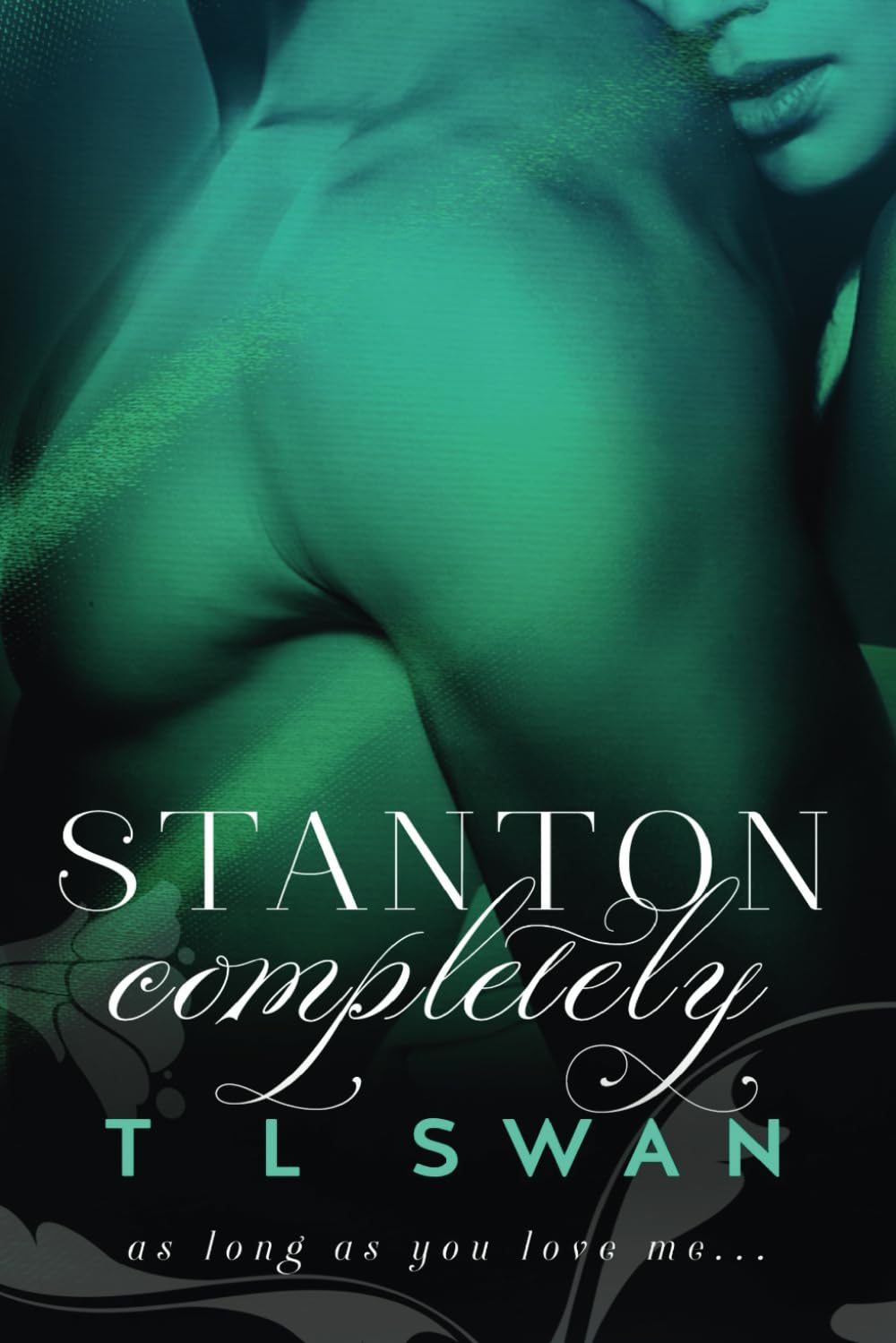 Stanton Completely (Stanton Series)