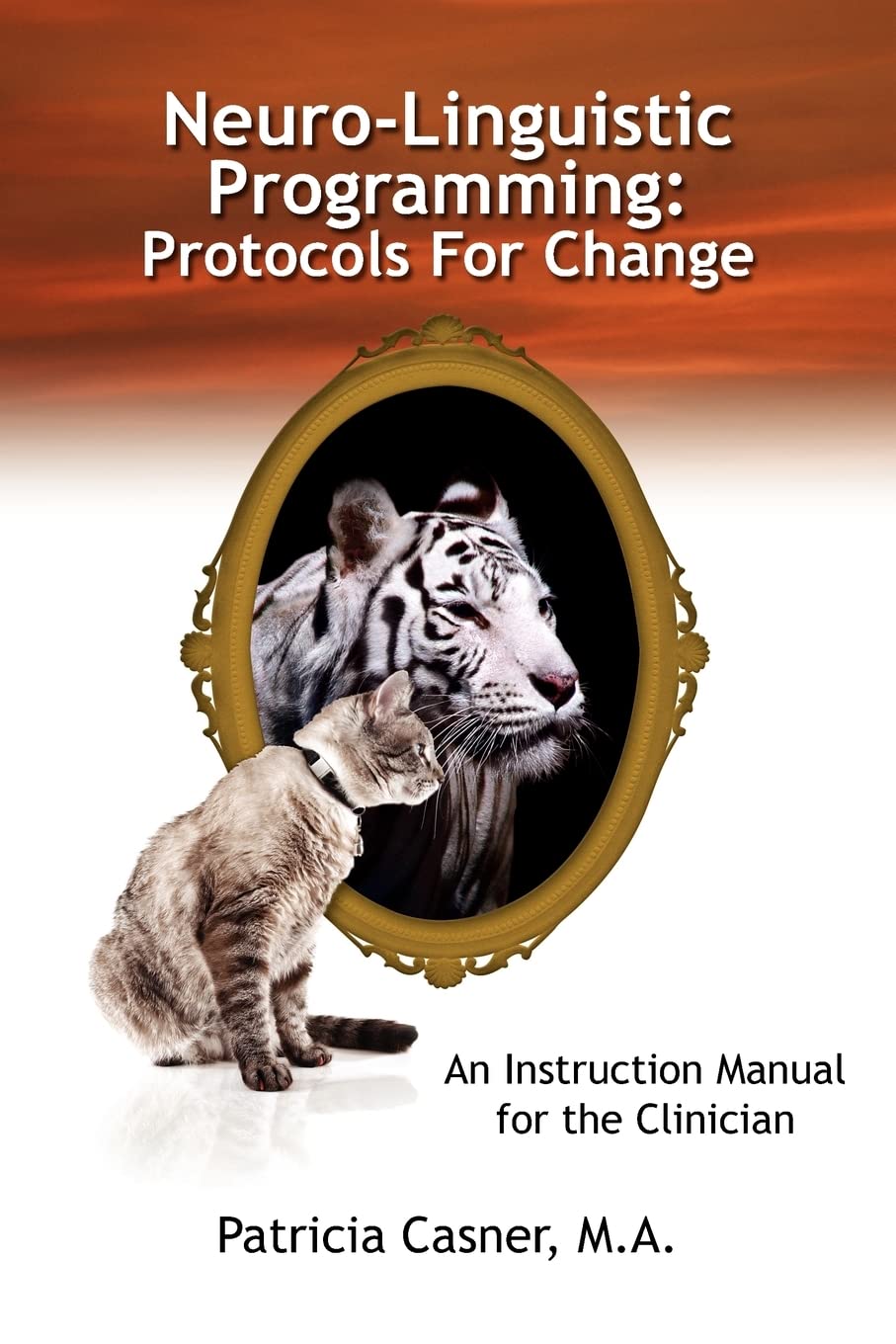 Neuro-Linguistic Programming: Protocols for Change: An Instruction Manual for the Clinician