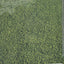 The Garden Book