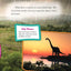 Water Cycle (Science Readers: Content and Literacy)