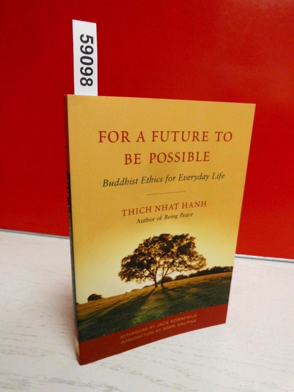 For a Future to Be Possible by Nhat Hanh, Thich