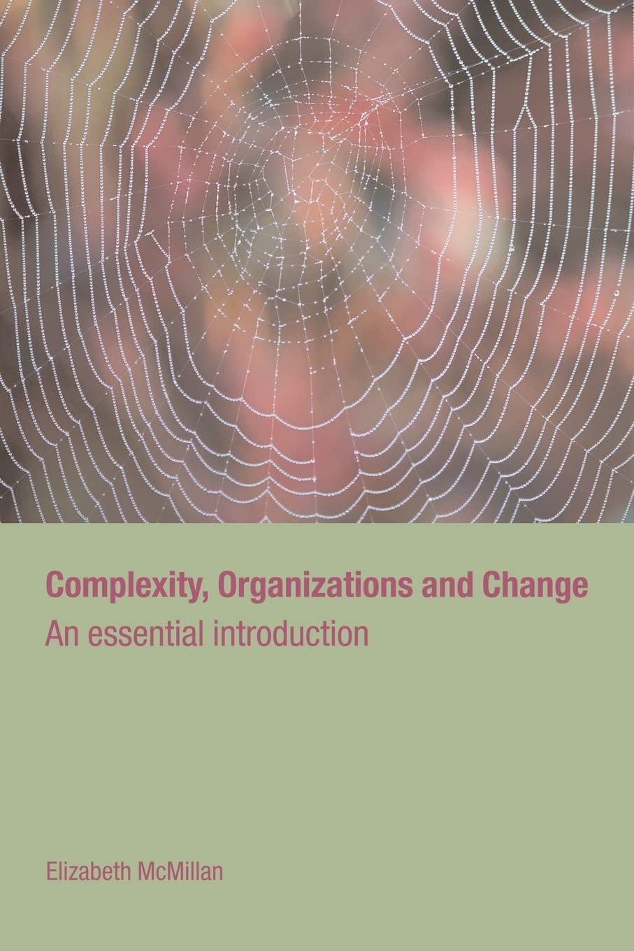 Complexity, Organizations and Change (Routledge Studies in Complexity and Management)