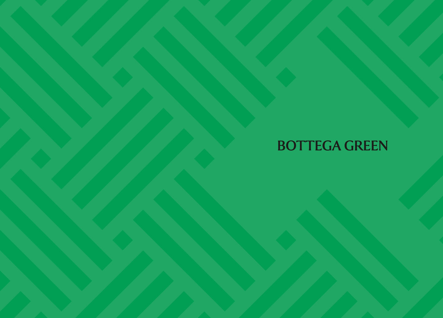 Little Book of Bottega Veneta: The story of the iconic fashion house (Little Books of Fashion)