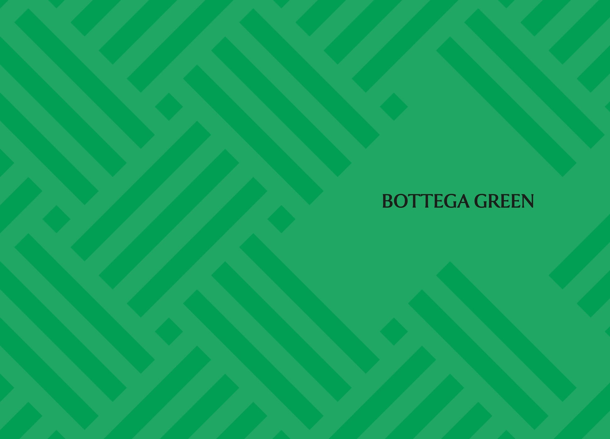 Little Book of Bottega Veneta: The story of the iconic fashion house (Little Books of Fashion)