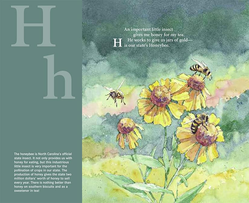 T is for Tar Heel: A North Carolina Alphabet