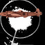 Echoes of War: The Story of H2S Radar