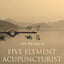 On Being a Five Element Acupuncturist (Five Element Acupuncture)
