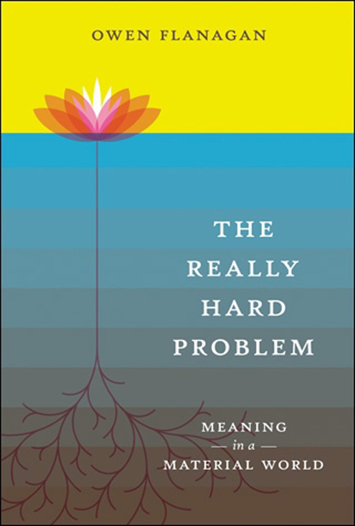 The Really Hard Problem: Meaning in a Material World (Bradford Books)