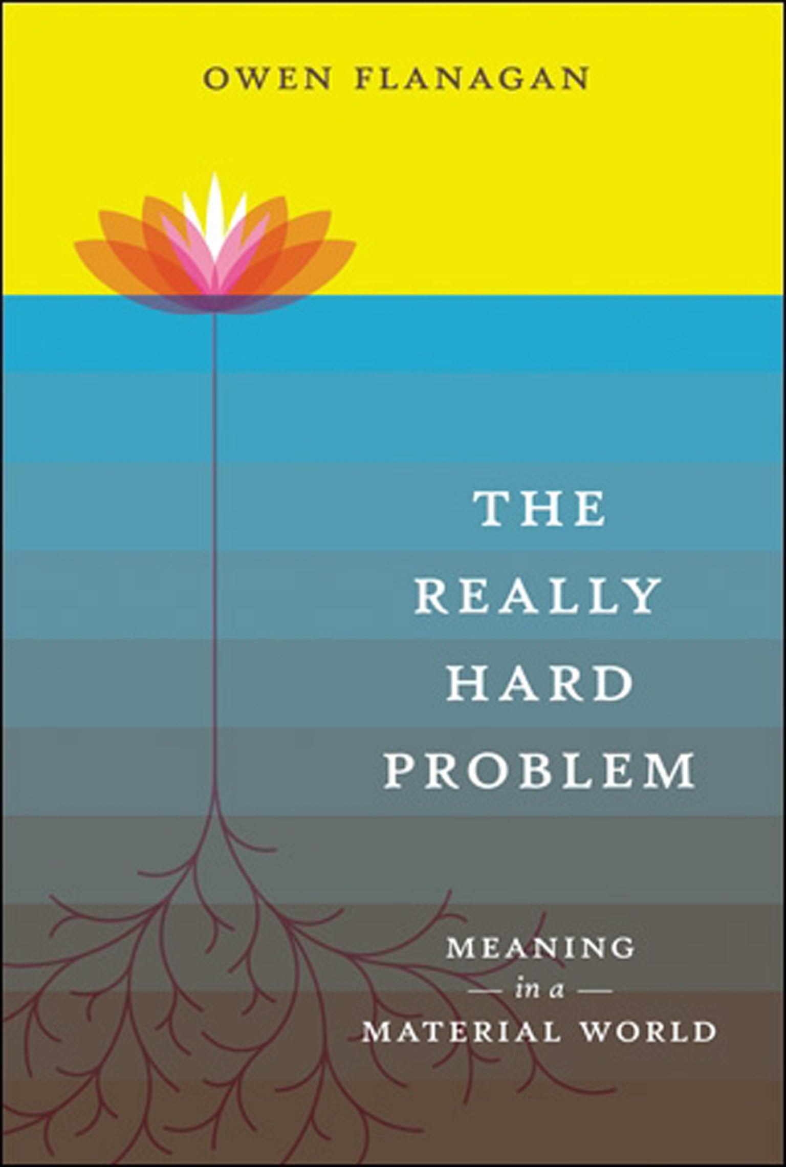 The Really Hard Problem: Meaning in a Material World (Bradford Books)