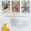 Picture Book of Birds: 80 Stunning Photos and Facts, with Video, for Dementia Patients and Seniors with Alzheimer's (Uplifting Picture Books)