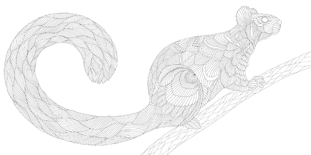 Millie Marotta's Woodland Wild: Pocket Colouring