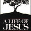 A Life of Jesus by Endo, Shusaku