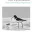 The Oystercatcher: From Individuals to Populations (Oxford Ornithology Series)