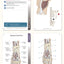 Trail Guide to the Body Flashcards 6th Edition Volume 2: Mus