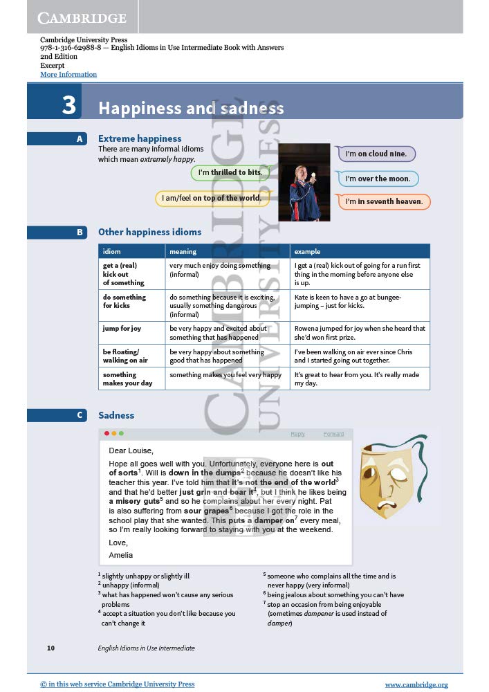 English Idioms in Use Intermediate Book with Answers: Vocabulary Reference and Practice (Vocabulary in Use)