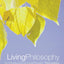 Living Philosophy, Third Edition: An Introduction to Moral Thought