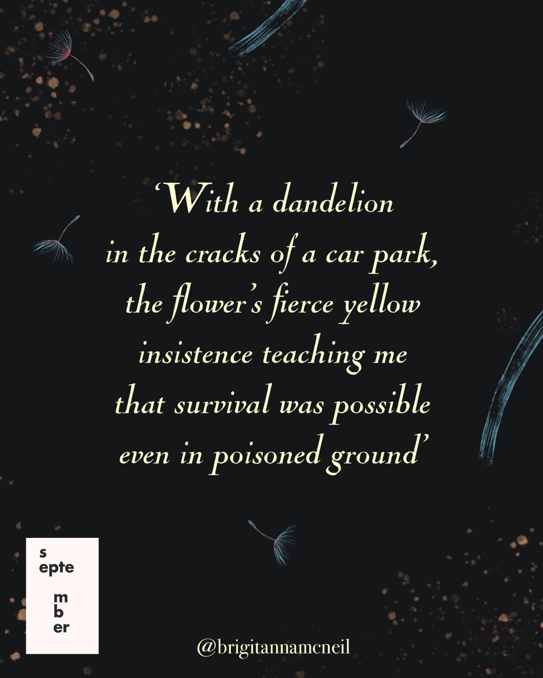 The Wild Within: What Plants Taught Me about Life, Recovery and Renewal