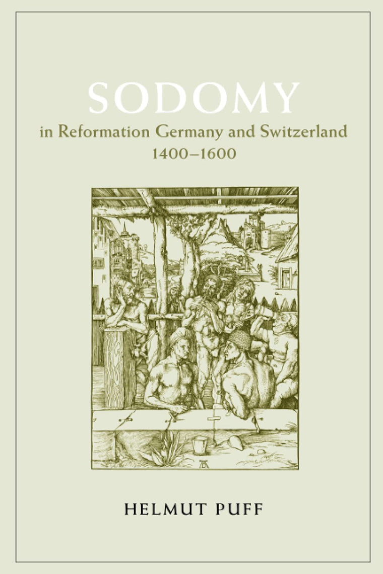 Sodomy in Reformation Germany and Switzerland, 1400-1600 (The Chicago Series on Sexuality, History, and Society)